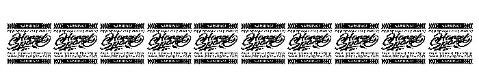 Secret Solver Regular Font OTHER CHARS