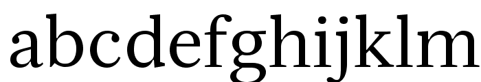 Serif12Beta-Regular Font LOWERCASE