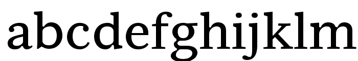 Serif6Beta-Regular Font LOWERCASE