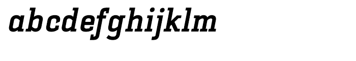 Selektor Slab Bold Italic Font LOWERCASE