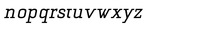 Selektor Slab Regular Italic Font LOWERCASE