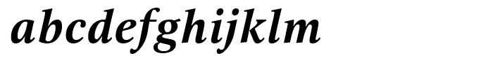 Selina Bold Italic Font LOWERCASE