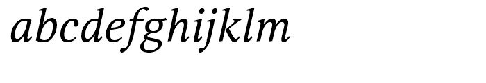 Selina Italic Font LOWERCASE