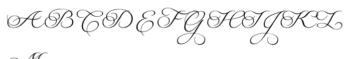 Serofina Light Font UPPERCASE