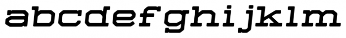 Sedgwick Co 2.0 Italic Font LOWERCASE