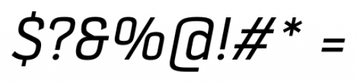 Selektor Regular Italic Font OTHER CHARS