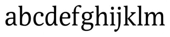 Selina Regular Font LOWERCASE