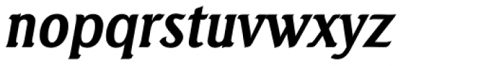 Seagull Serial Bold Italic Font LOWERCASE