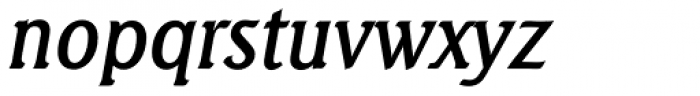Seagull TS Medium Italic Font LOWERCASE