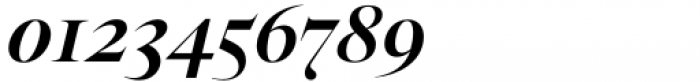 Segnieur Serif Display Medium Italic Font OTHER CHARS