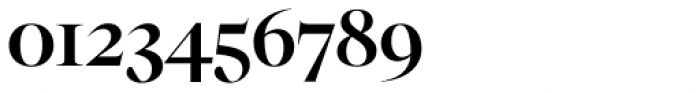 Segnieur Serif Display Medium Font OTHER CHARS