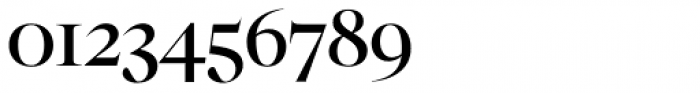 Segnieur Serif Display Regular Font OTHER CHARS