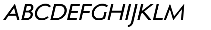 Selene Book Medium Italic Font UPPERCASE