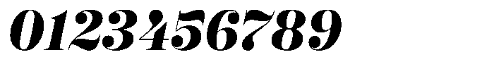 Selestin Extra Bold Italic Font OTHER CHARS