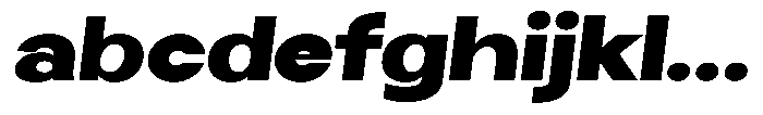Selfinty Black Expanded Slanted FONT