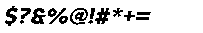 Selfion Bold Italic Font OTHER CHARS