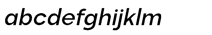 Selfion Italic FONT