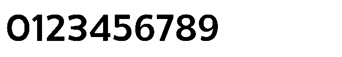 Selfion Medium Font OTHER CHARS