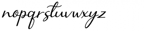 Selly Calligraphy Italic Font LOWERCASE