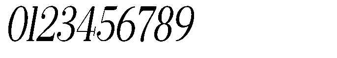 Selmora Condensed Slant Font OTHER CHARS