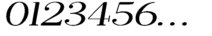 Selmora Extra Expanded Slant Font OTHER CHARS