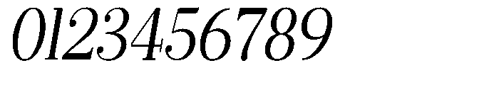 Selmora Semi Condensed Slant Font OTHER CHARS