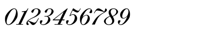 Selva Script Variable Font OTHER CHARS