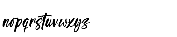 Selynadia Italic Font LOWERCASE