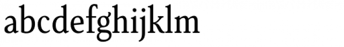 Senlot Serif Condensed Regular Font LOWERCASE