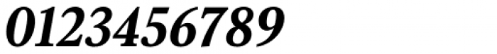 Senlot Serif Extended Black Italic Font OTHER CHARS