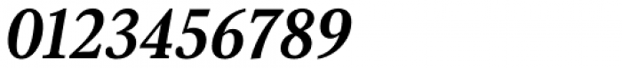 Senlot Serif Extended Ex Bold Italic Font OTHER CHARS