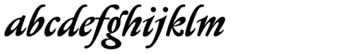Serapion Bold Italic Font LOWERCASE