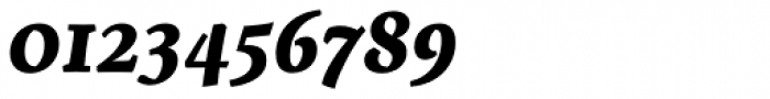Servus Slab Bold Italic Font OTHER CHARS