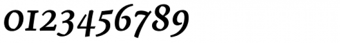 Servus Slab Medium Italic Font OTHER CHARS