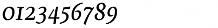 Servus Slab Regular Italic Font OTHER CHARS