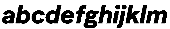 Season TRIAL SansHeavyItalic Instance FONT