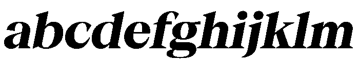 Season TRIAL SerifHeavyItalic Instance FONT
