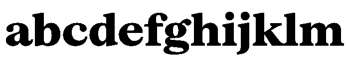 Serrif TRIAL Heavy Instance FONT