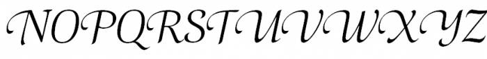 Selina Calligraphic Font UPPERCASE