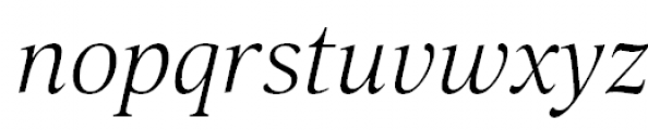 Selina Light Italic Font LOWERCASE
