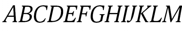 Selina Regular Italic Font UPPERCASE