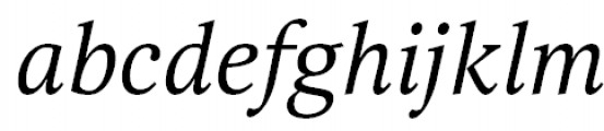 Selina Regular Italic Font LOWERCASE