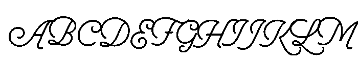 Selfie Neue Round Caps Tall Light Font UPPERCASE