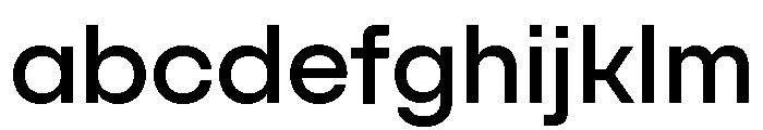 SFT Schrifted Sans TRIAL Var Var FONT
