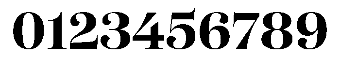 SFT Schrifted Serif TRIAL D Bold Font OTHER CHARS