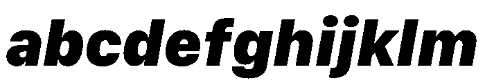SF Compact Text Black Italic FONT