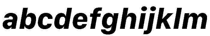 SF Compact Text Bold Italic FONT
