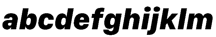 SF Compact Text Heavy Italic FONT