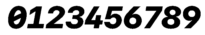 SF Mono Heavy Italic Font OTHER CHARS