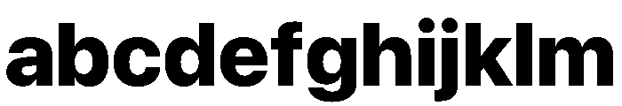 SF Pro Display Heavy FONT